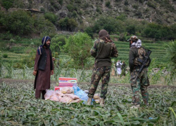 سازمان آلمانی: طالبان برای کمک به زلزله‌زدگان نیرو و تخصص لازم ندارد