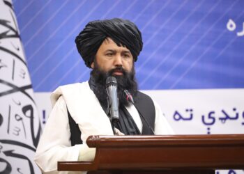 وزیر تحصیلات عالی طالبان: برای دانشگاه‌های افغانستان از خارج استاد دعوت می‌کنیم