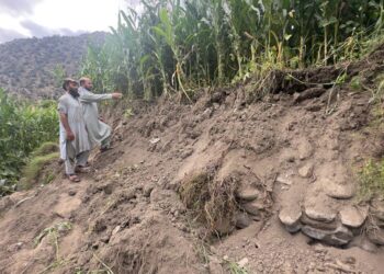 ملل متحد: ۵۰۰ هکتار زمین کشاورزی در زمین‌لرزه‌ی کنر آسیب دیده‌اند