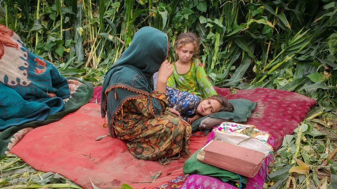 طالبان به سازمانهای امدادرسان: هنگام توزیع کمکها از زنان عکس نگیرید