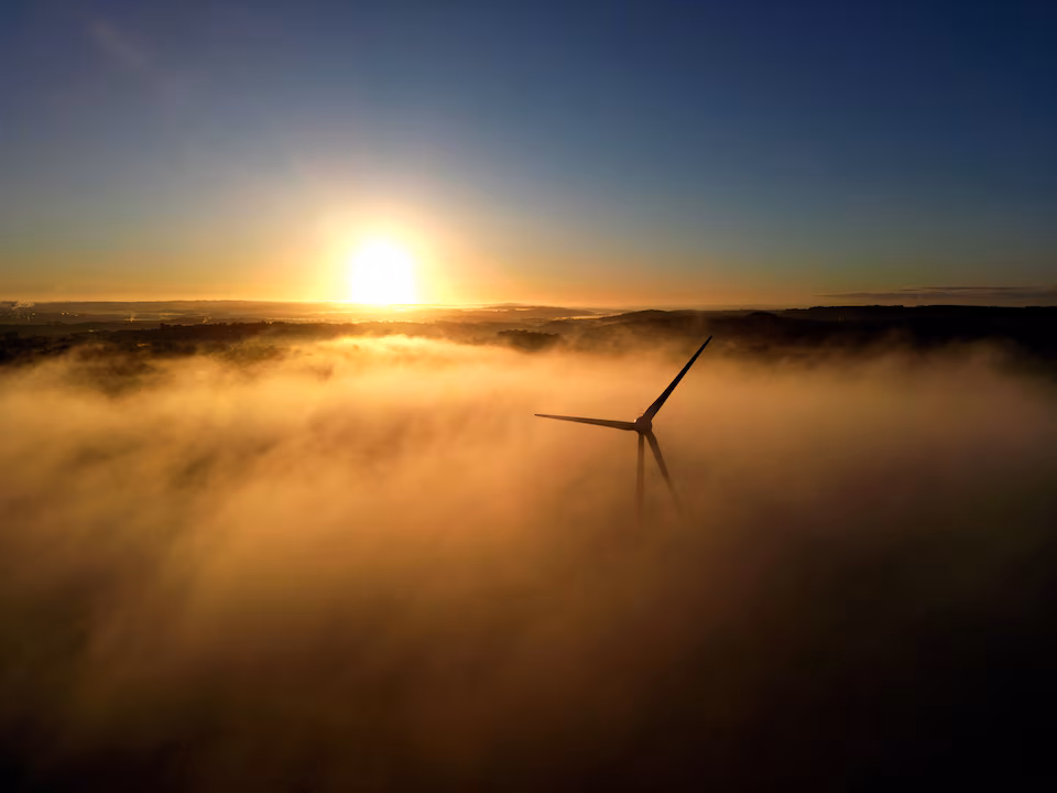 کاهش الزامات پایداری در اتحادیهٔ اروپا تشخیصِ شرکتهای کمکربن را دشوارتر میکند